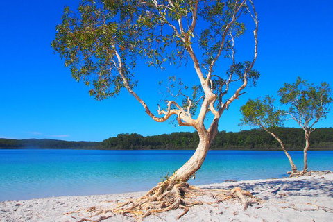 Fraser Island 4WD Tour From Rainbow Beach - Geraldton Accommodation 5