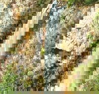 Private Tour - Rainforest  Waterfalls Extravaganza - Geraldton Accommodation