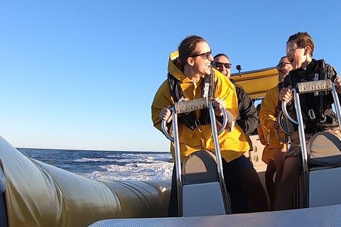 Noosa Oceanrider - Adventure Tour - Geraldton Accommodation 0