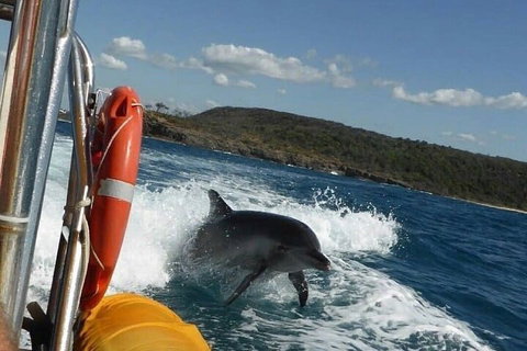 Noosa Oceanrider - Adventure Tour - Geraldton Accommodation 1