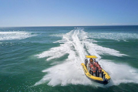 Noosa Oceanrider - Adventure Tour - Geraldton Accommodation 2