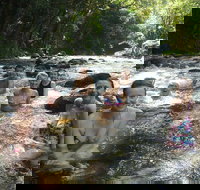 Daintree Rainforest Cape Tribulation Mossman Gorge Small-Group Day Tour - Geraldton Accommodation