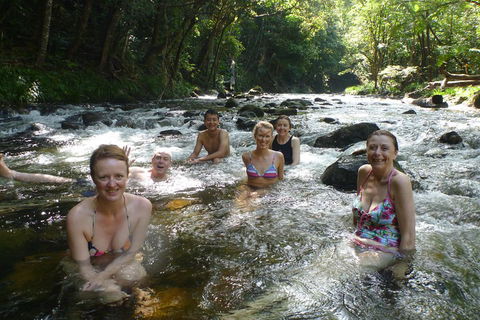 Daintree Rainforest, Cape Tribulation, Mossman Gorge Small-Group Day Tour - Geraldton Accommodation 0
