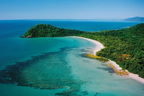 Daintree Rainforest, Cape Tribulation, Mossman Gorge Small-Group Day Tour - Geraldton Accommodation 4