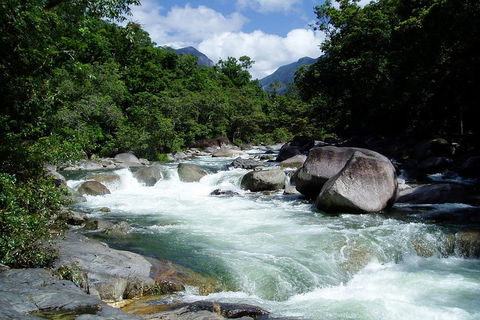 Daintree Rainforest, Cape Tribulation, Mossman Gorge Small-Group Day Tour - Geraldton Accommodation 5