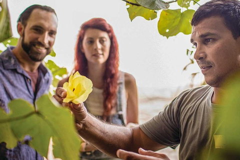 Ngana Julaymba Dungay - Full Day - Geraldton Accommodation 4