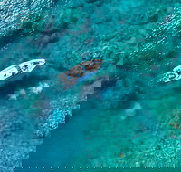 Premium Private Charter