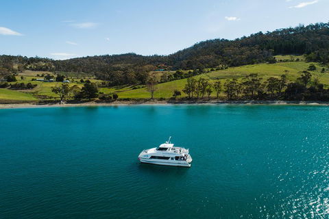 Deep-to-Dish: Tasmanian Seafood Experience - Geraldton Accommodation 0
