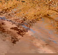 Scenic Flight Lizard Safari - Geraldton Accommodation
