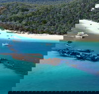 All Inclusive Tangalooma Wrecks Cruise Tour From Gold Coast - Geraldton Accommodation