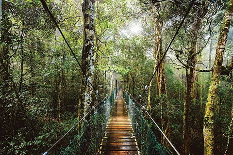 O'Reilly's & Lamington National Park From Gold Coast - Geraldton Accommodation 0