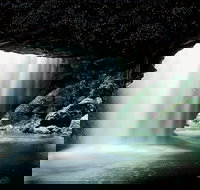 Natural Bridge Glow Worm Night Tour from Gold Coast - Geraldton Accommodation