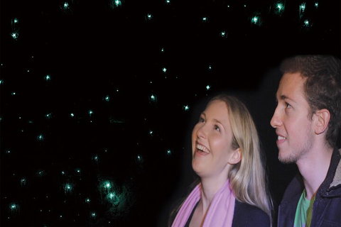 Natural Bridge Glow Worm Night Tour From Gold Coast - Geraldton Accommodation 3