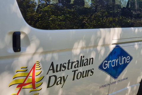 Natural Bridge Glow Worm Night Tour From Gold Coast - Geraldton Accommodation 5