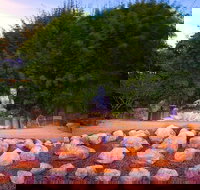 Byron Bay and the Crystal Castle Day Tour from Gold Coast - Geraldton Accommodation