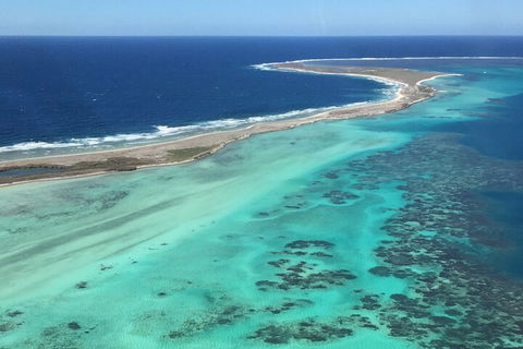 Pink Lake + Abrolhos Islands Nature Tour - Geraldton Accommodation 2