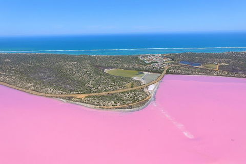 Pink Lake + Abrolhos Islands Nature Tour - Geraldton Accommodation 4