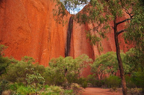 Uluru Sunrise And Guided Base Walk - Geraldton Accommodation 3