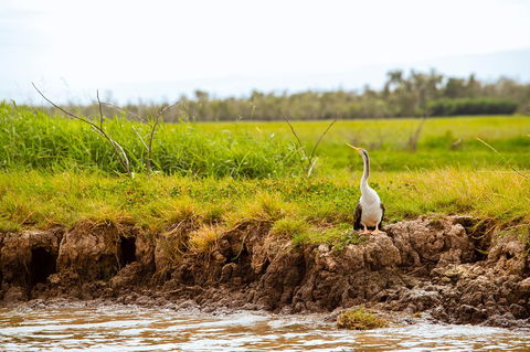 Darwin City Sights And Jumping Crocodile Cruise - Geraldton Accommodation 2