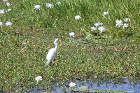 Darwin City Sights And Jumping Crocodile Cruise - Geraldton Accommodation 4