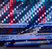 Evening Rainforest  Glow Worm Experience - Geraldton Accommodation