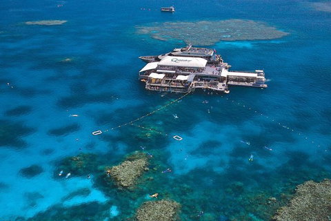Quicksilver Outer Great Barrier Reef Snorkel Cruise From Palm Cove - Geraldton Accommodation 1
