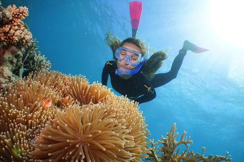 Quicksilver Outer Great Barrier Reef Snorkel Cruise From Palm Cove - Geraldton Accommodation 2