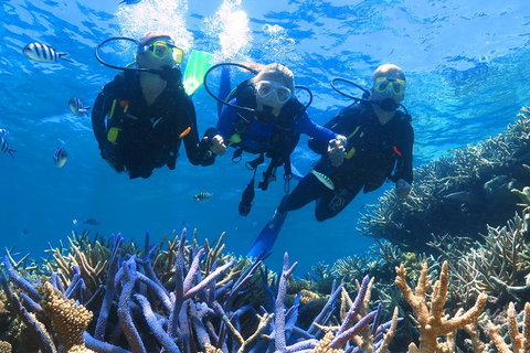 Quicksilver Outer Great Barrier Reef Snorkel Cruise From Palm Cove - Geraldton Accommodation 3