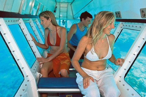 Quicksilver Outer Great Barrier Reef Snorkel Cruise From Palm Cove - Geraldton Accommodation 5