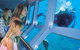 Quicksilver Outer Great Barrier Reef Snorkel Cruise From Port Douglas - thumb 1