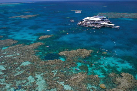 Quicksilver Outer Great Barrier Reef Snorkel Cruise From Port Douglas - Geraldton Accommodation 3