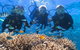 Quicksilver Outer Great Barrier Reef Snorkel Cruise From Port Douglas - thumb 4