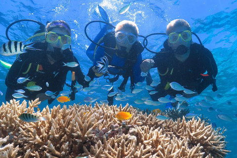 Quicksilver Outer Great Barrier Reef Snorkel Cruise From Port Douglas - Geraldton Accommodation 4