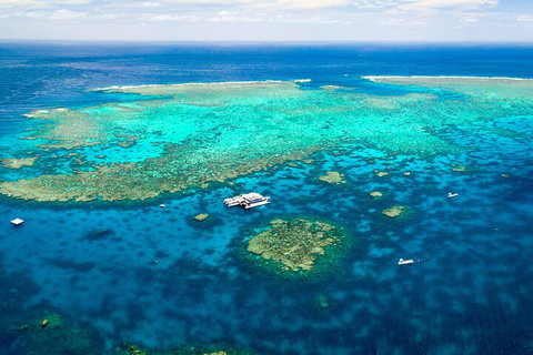 Quicksilver Outer Great Barrier Reef Snorkel Cruise From Port Douglas - Geraldton Accommodation 5