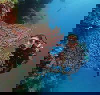 Silversonic Outer Great Barrier Reef Dive and Snorkel Cruise from Port Douglas - Geraldton Accommodation