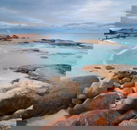 Wineglass Bay Private Charter Service