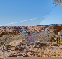 The Amazing Kings Canyon 4-Hours Walking Tour and Hike - Geraldton Accommodation