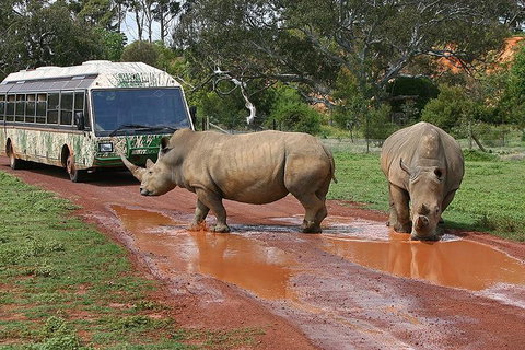 The Ultimate Melbourne Attractions Pass - Geraldton Accommodation 4