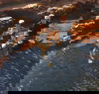 One Day Litchfield Park Adventures