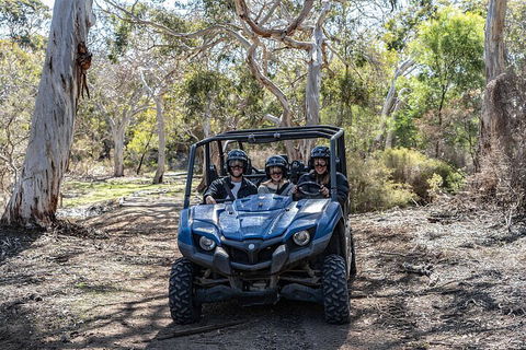 Small-Group Buggy Tour At Little Sahara With Guide - Geraldton Accommodation 0