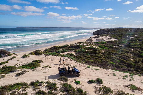 Small-Group Buggy Tour At Little Sahara With Guide - Geraldton Accommodation 1