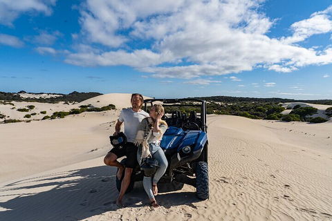 Small-Group Buggy Tour At Little Sahara With Guide - Geraldton Accommodation 2