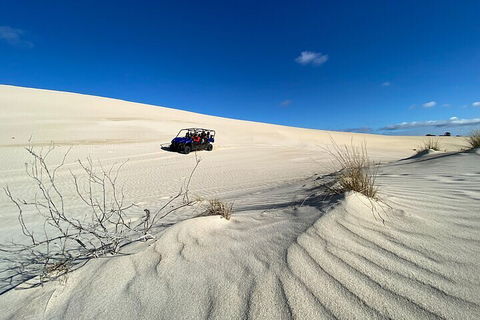 Small-Group Buggy Tour At Little Sahara With Guide - Geraldton Accommodation 3