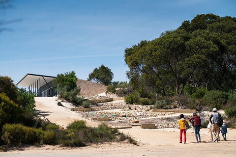 2-Hour Koala Walking Tour In Kangaroo Island - Geraldton Accommodation 3