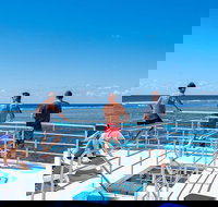 Calypso Outer Great Barrier Reef Cruise from Port Douglas - Geraldton Accommodation