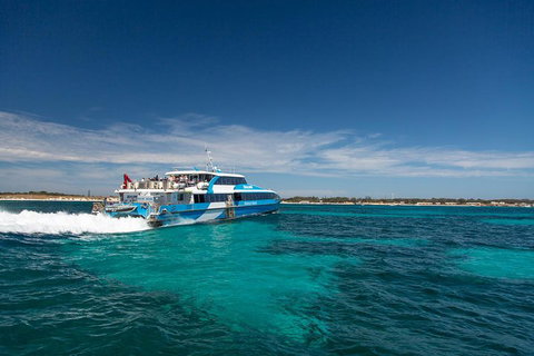 Rottnest Island All-Inclusive Grand Island Tour From Fremantle - Geraldton Accommodation 3