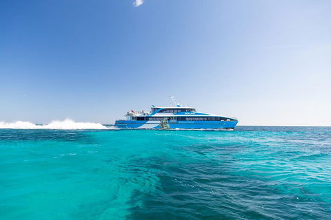 Rottnest Island Bike, Snorkel & Ferry Package From Fremantle - Geraldton Accommodation 0