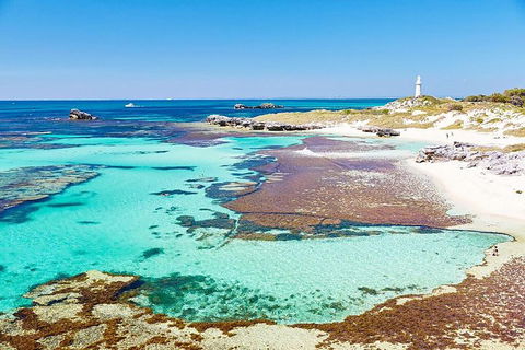 Rottnest Island Bike, Snorkel & Ferry Package From Fremantle - Geraldton Accommodation 4