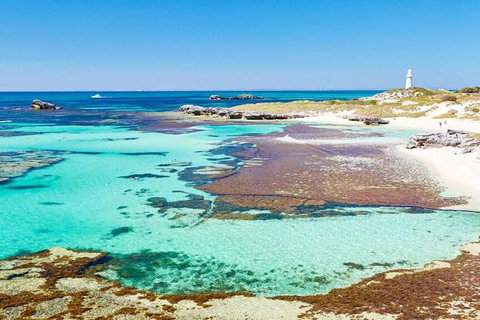 Rottnest Island Bayseeker Day Trip From Perth - Geraldton Accommodation 4