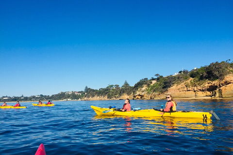 Mornington Peninsula Kayak Coastline Tour Of Dolphin Sanctuary - Geraldton Accommodation 1